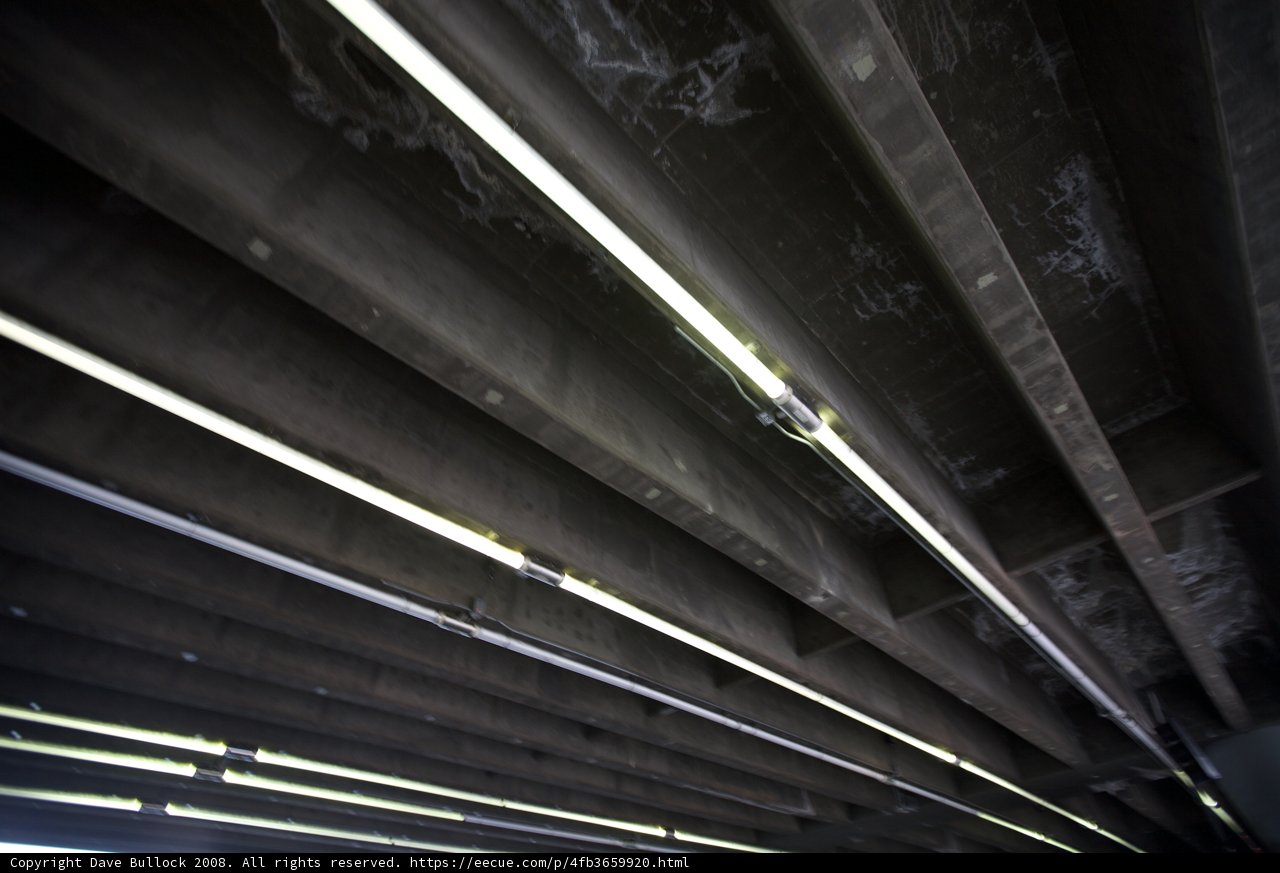 Illuminated Architecture Beneath the Freeway