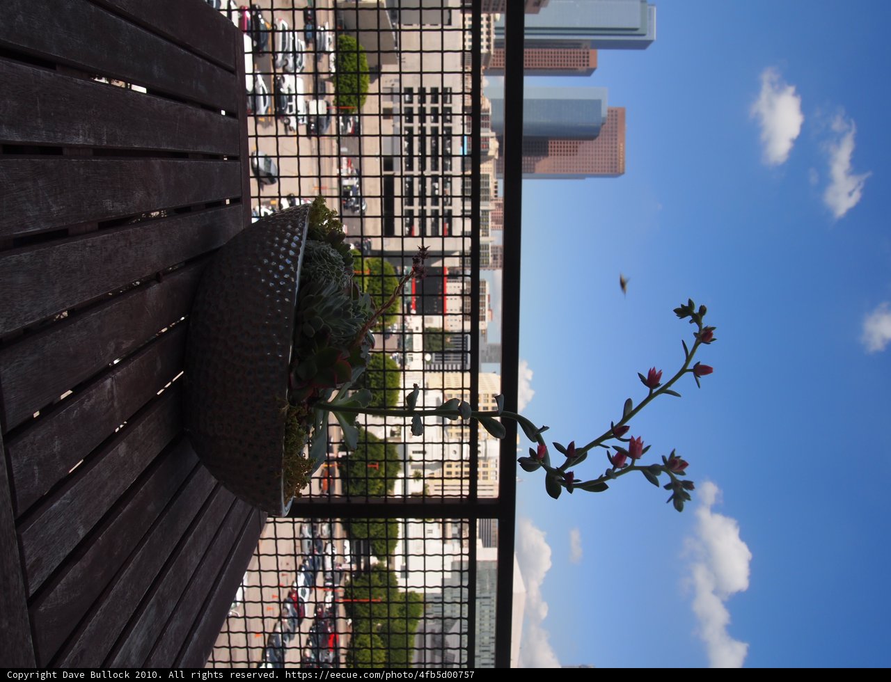 Flower Pot on a Cloudy Day