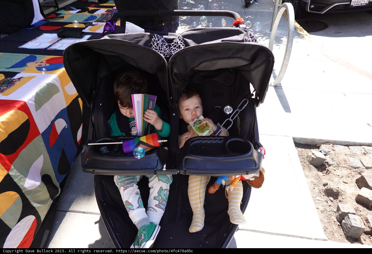 Double Delight in the Stroller