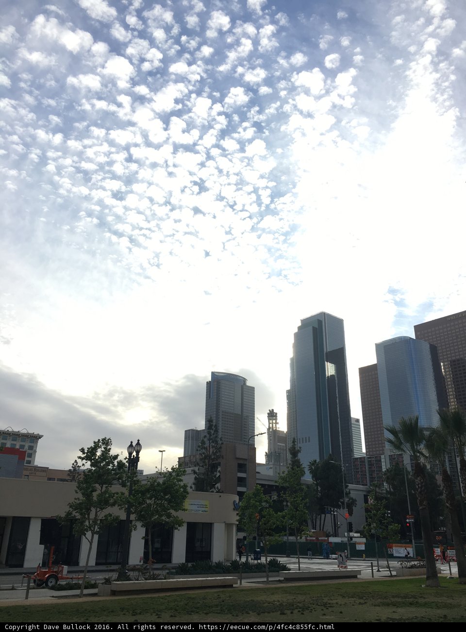 Metropolis Beneath the Summer Sky
