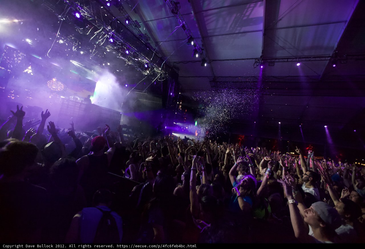 Purple Haze Party