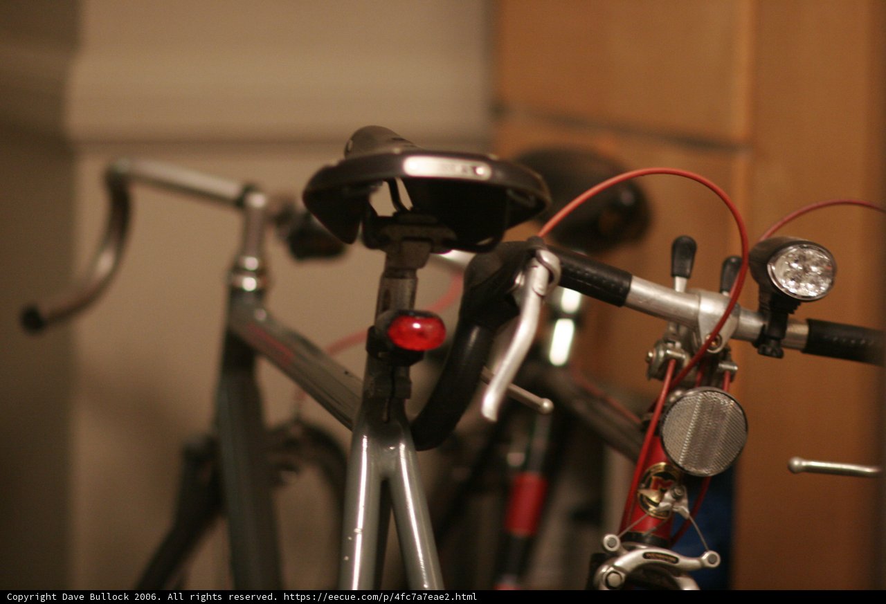 Red-Lit Ride