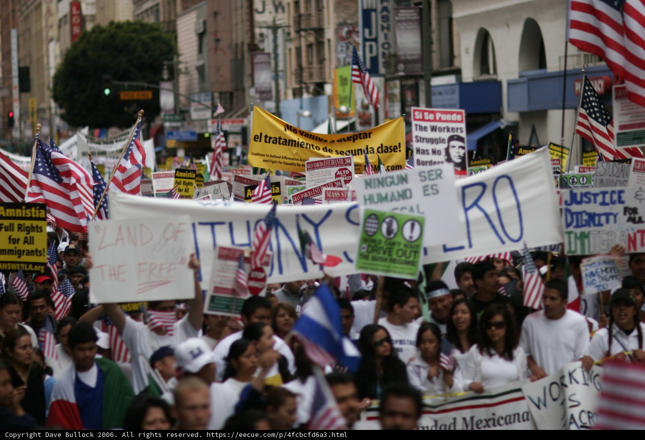 A Sea of Signs and Flags