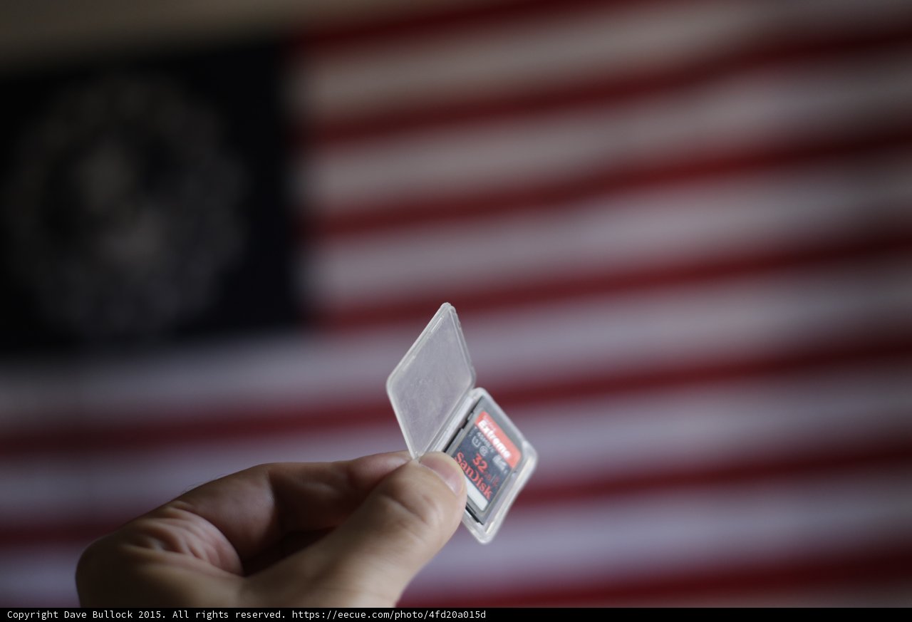 American Pride in Plastic
