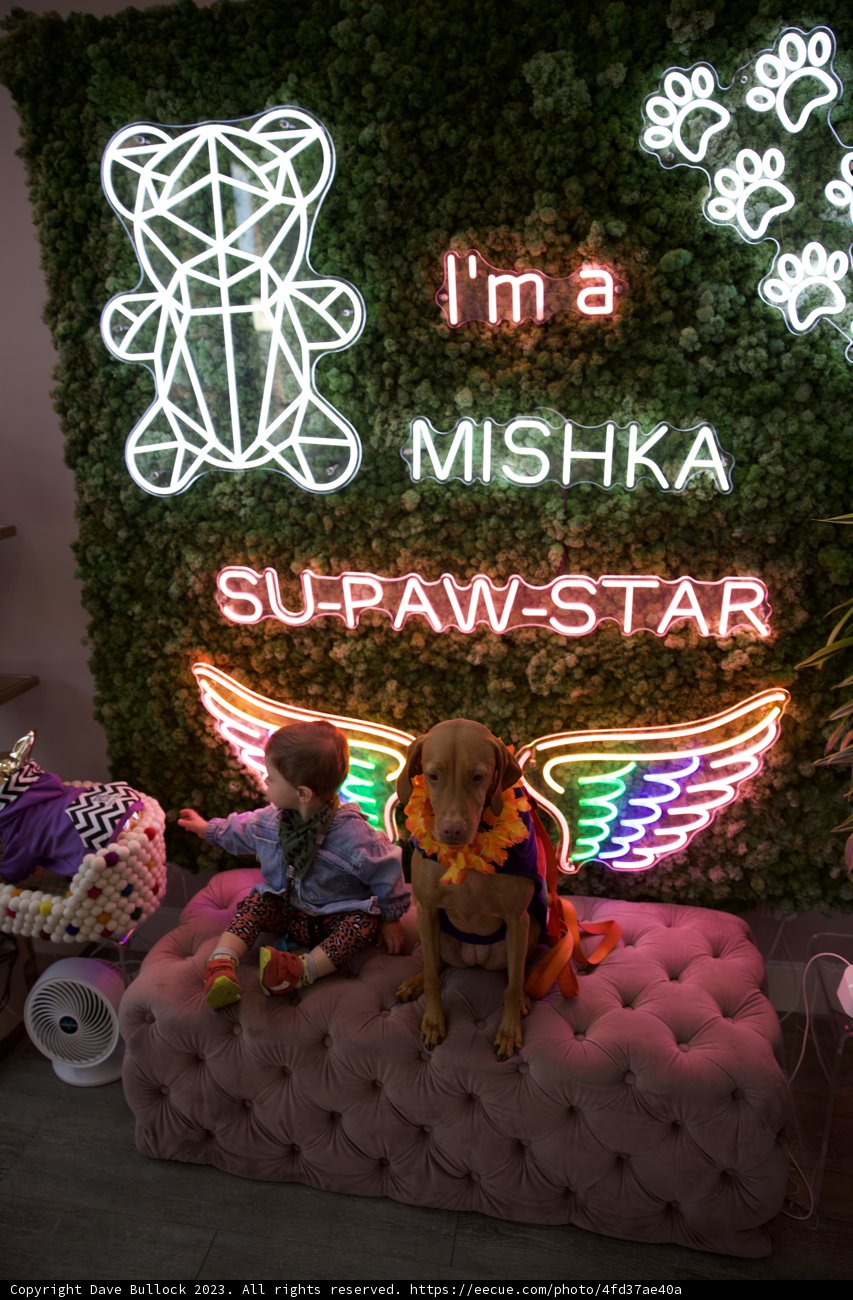 Hi-Li's 5th Birthday Bash in Neon Glow