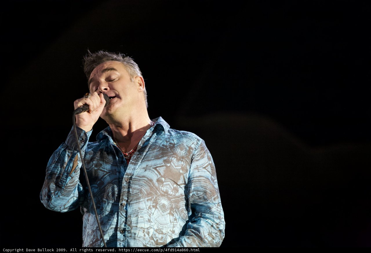Blue Shirt Serenade