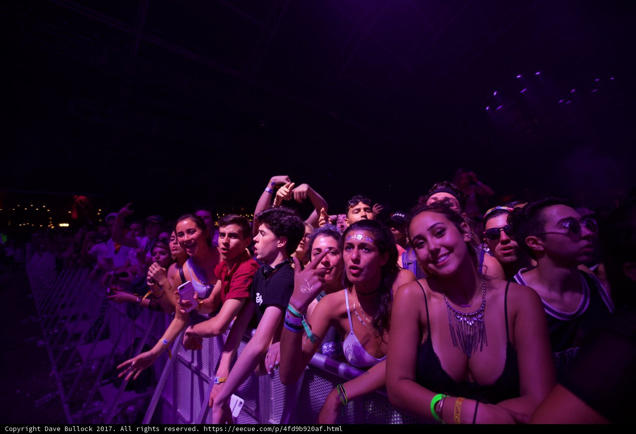 Urban Crowd at Coachella Concert