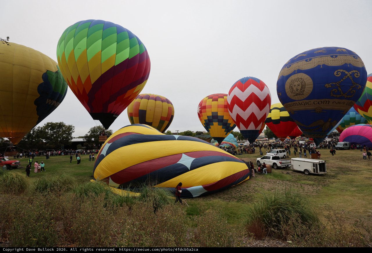 Colorful Hot Air Balloons Fill Festival Grounds at Dawn