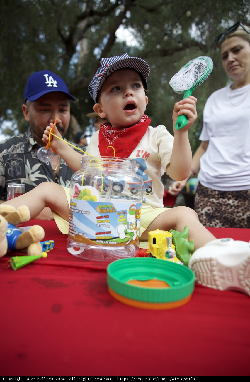 Wesley's Playful 2nd Birthday