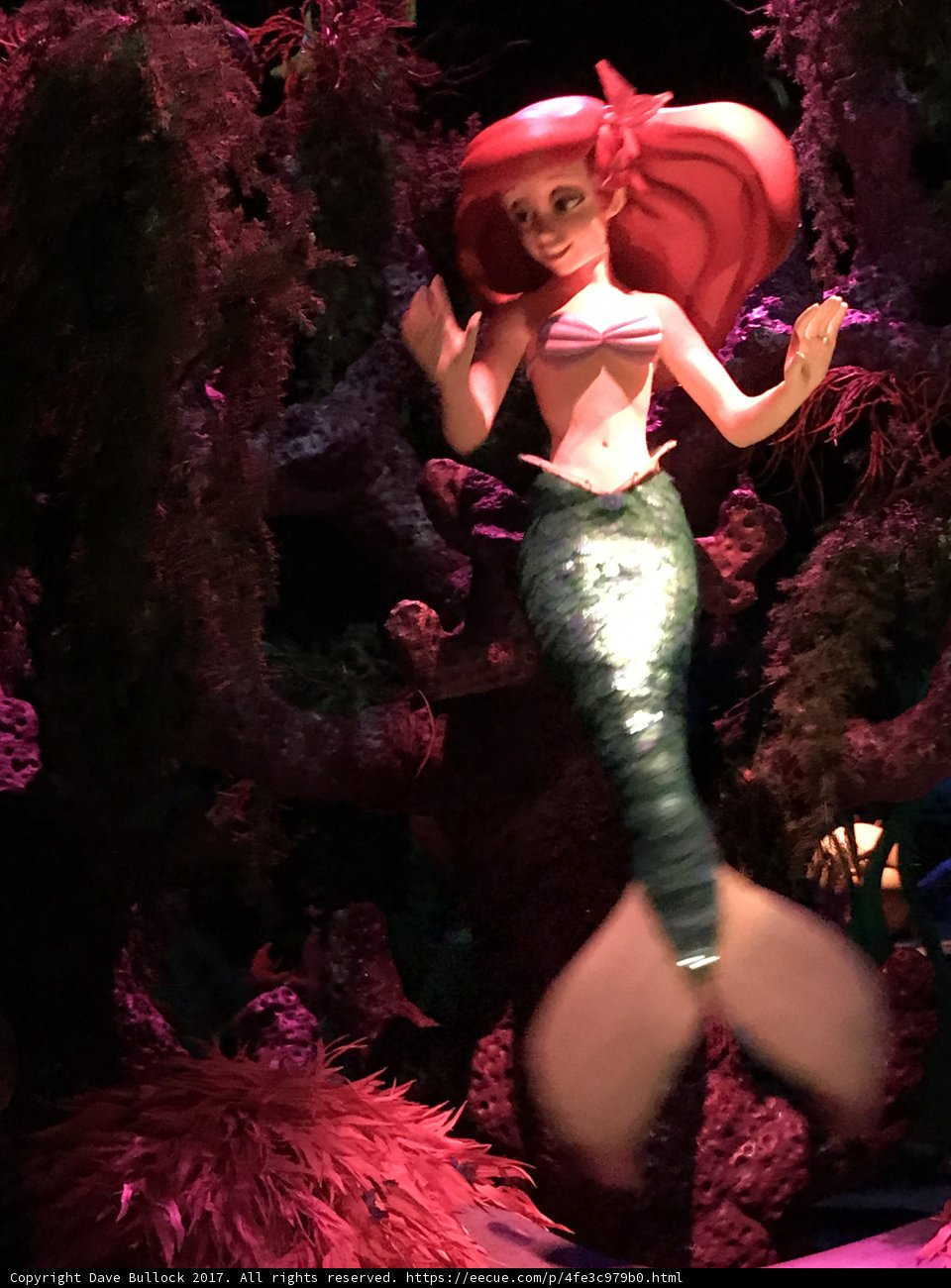 Under the Sea Adventure at Disney California Adventure