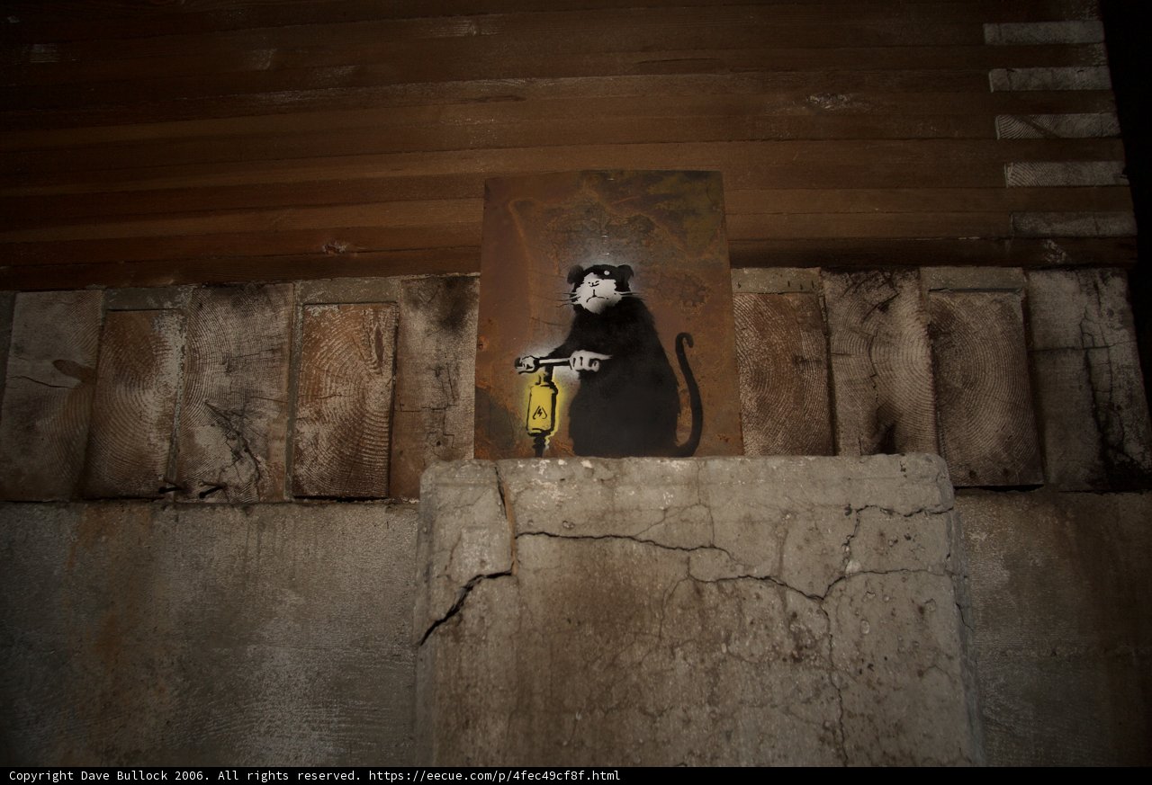 Monkey on the Wall