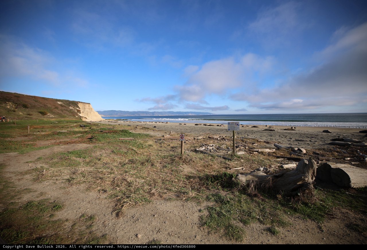 Coastal Landscape at Drakes Beach with Elephant Seals