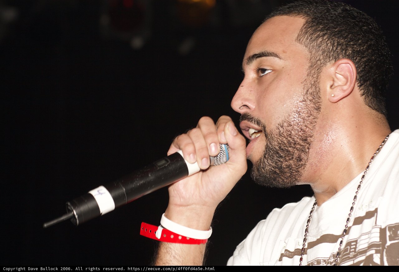 The Bearded Performer