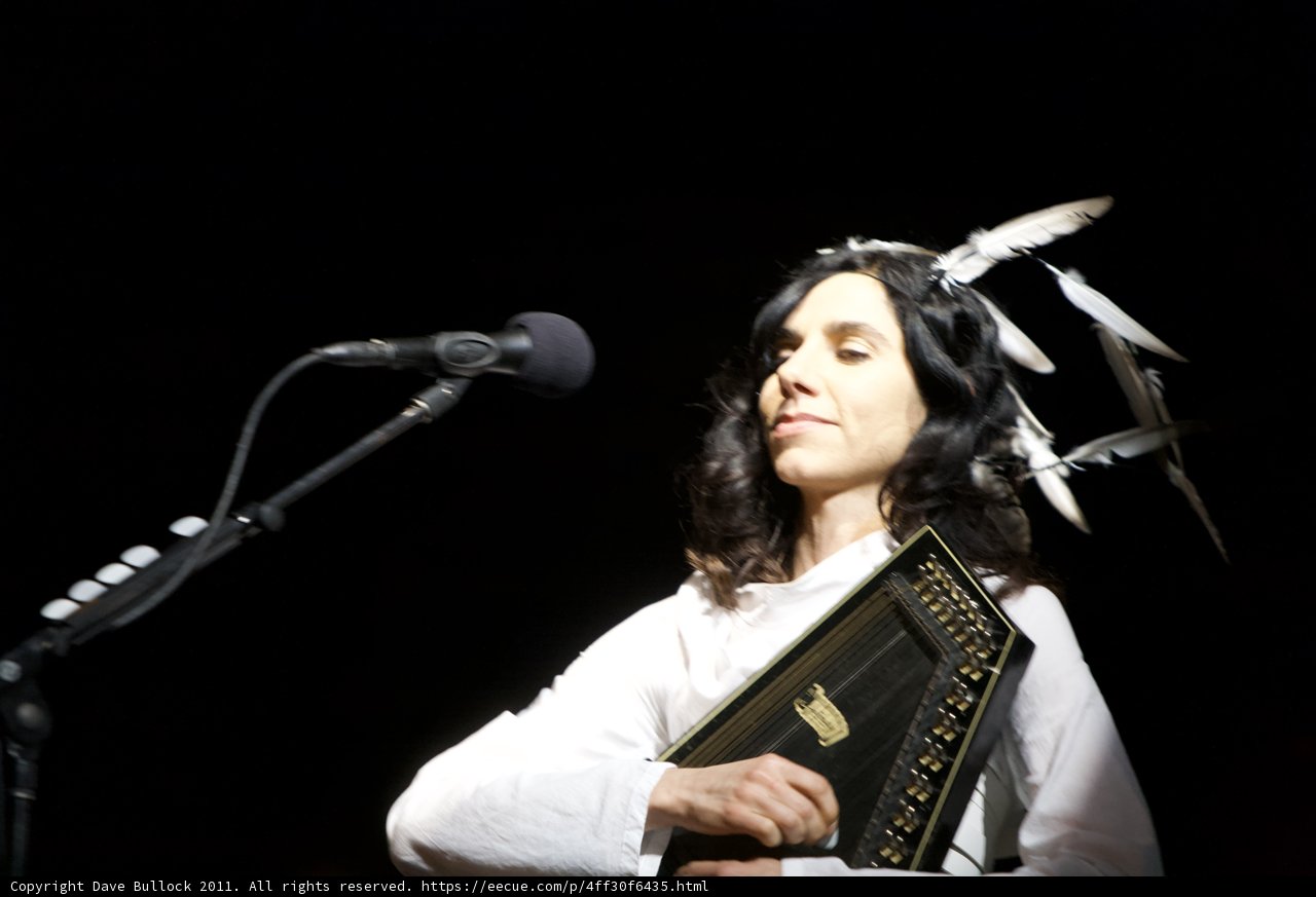 The Musical Bookworm