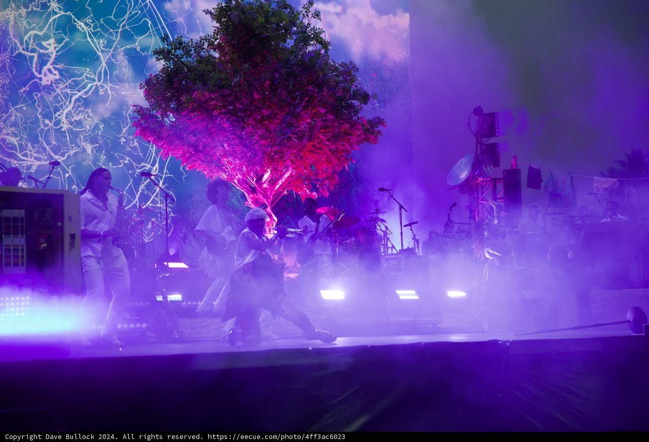 Electric Nights at Coachella 2024
