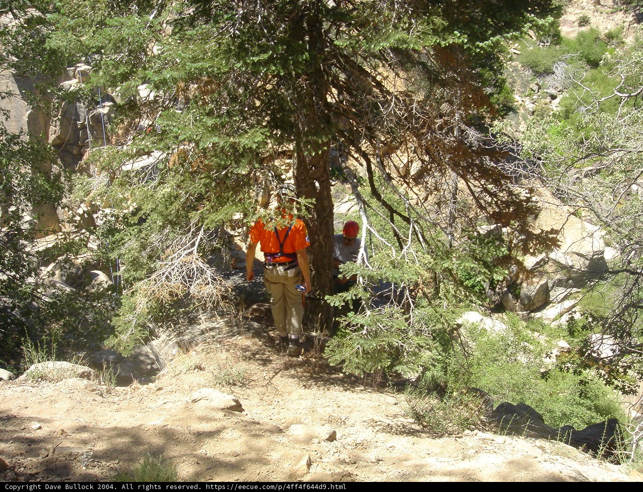 Into the Wilderness