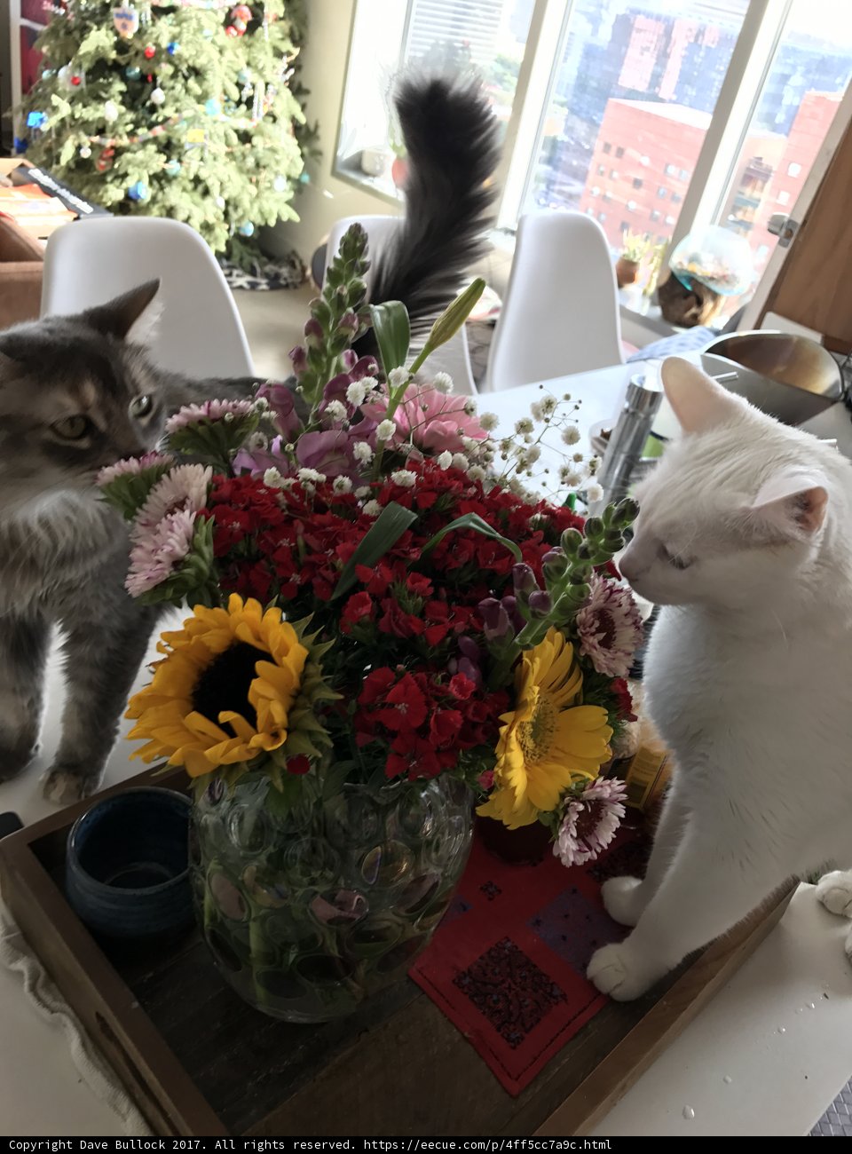 Feline Art Critics