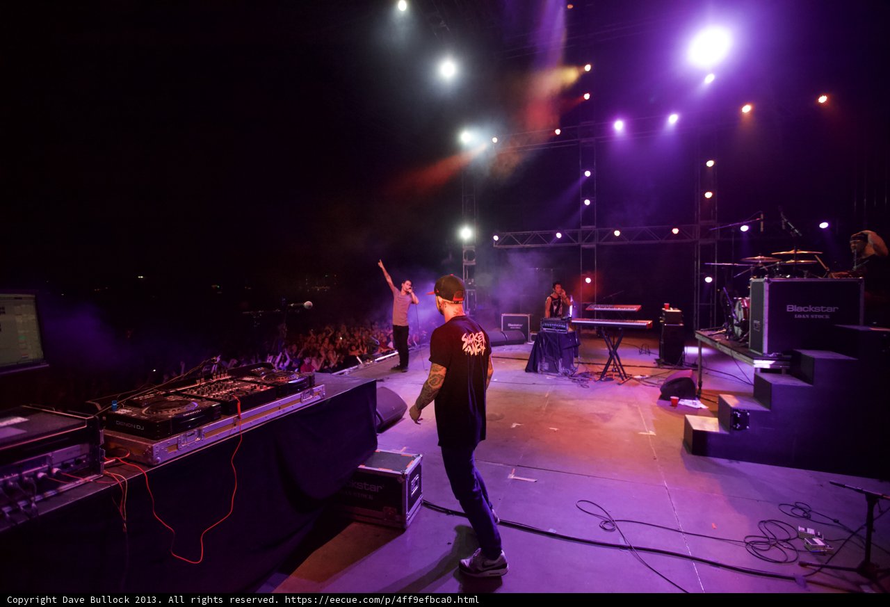 Concert Vibes