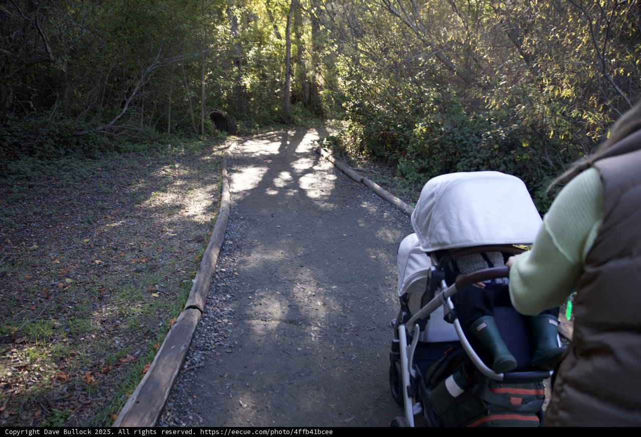Stroll Through Thistlewyck