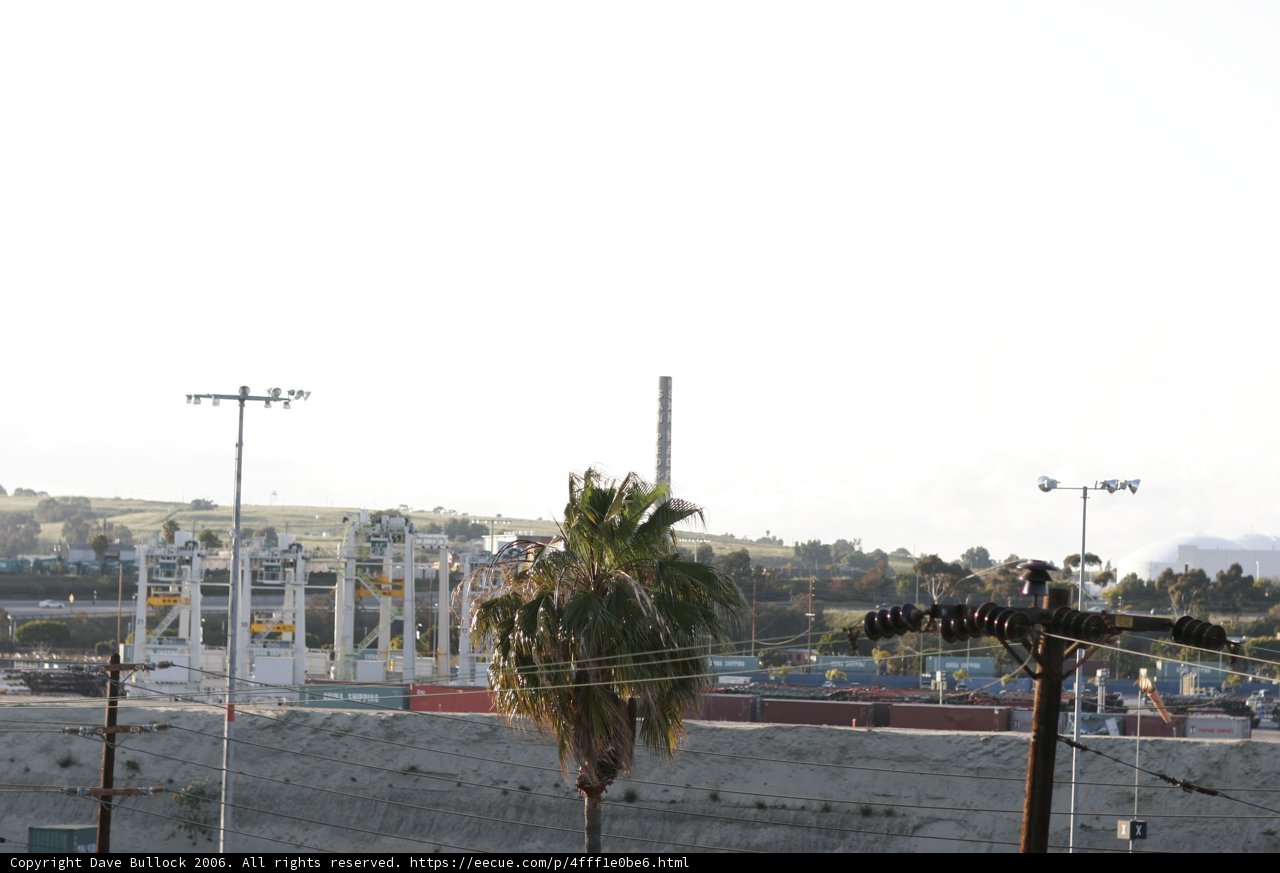 The Palm Tree Cityscape