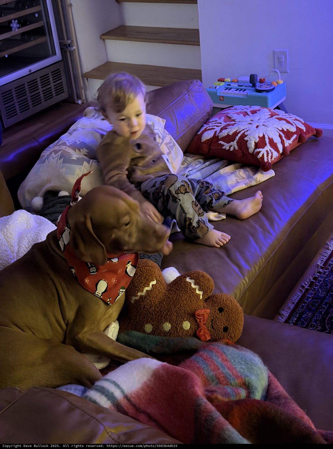 Cozy Movie Night with Dog and Child
