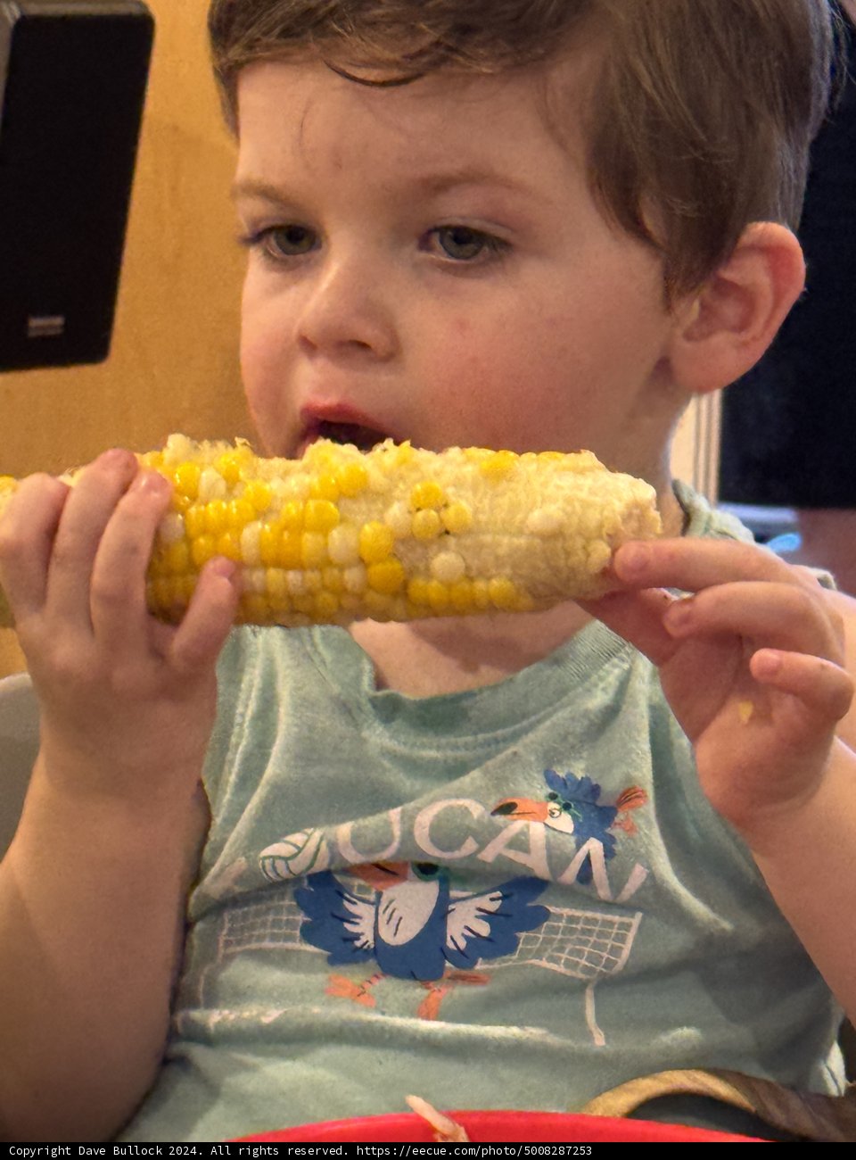 Corn on the Cob Delight