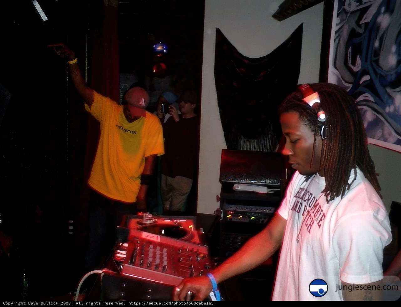 Party DJ Energizes Crowd with Music
