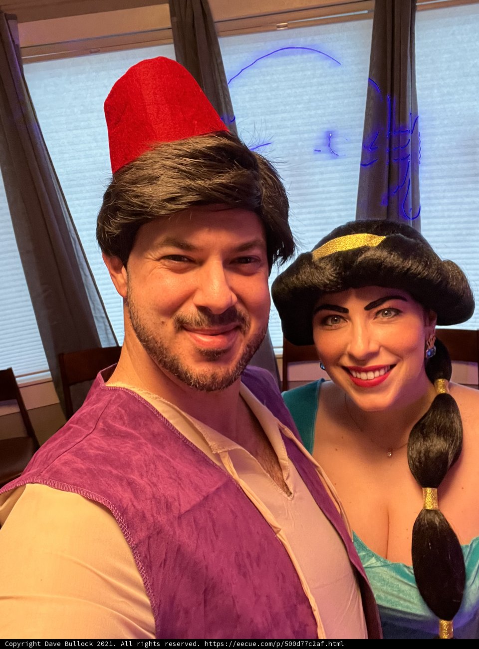 A Whole New World Costume