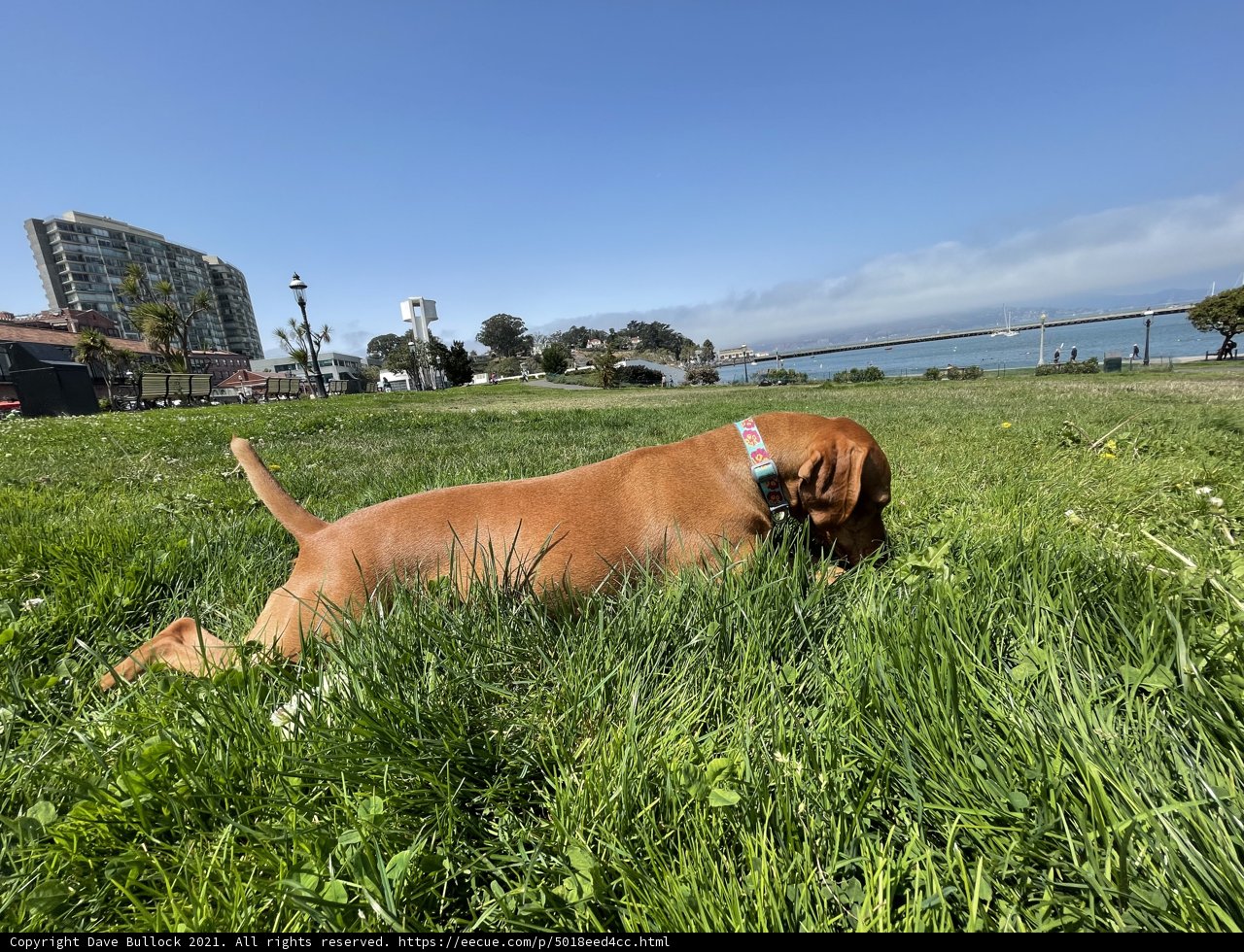 Lazy Day by the Bay
