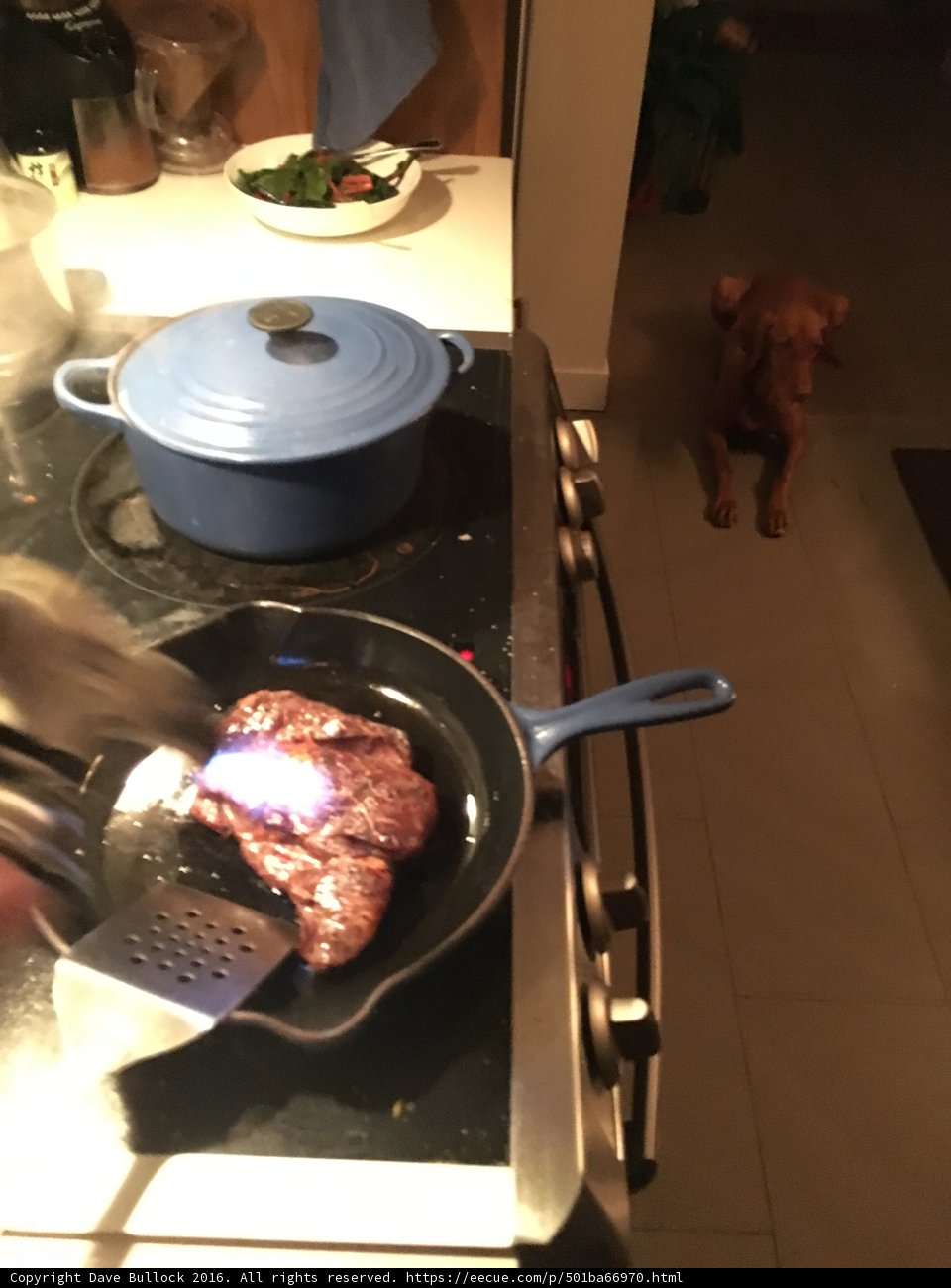 Cooking Up a Delicious Steak