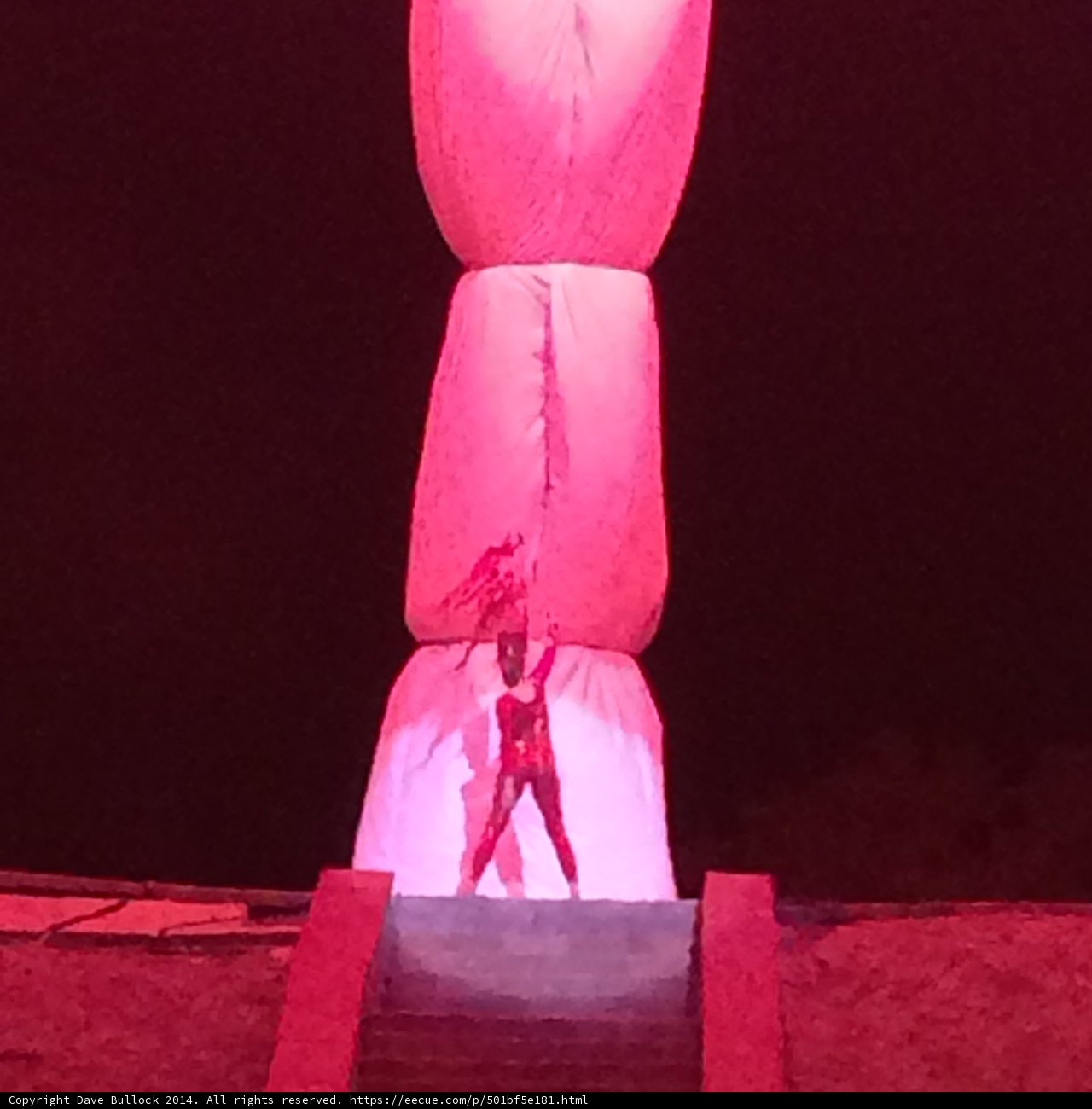 The Red Lady's Acrobat Pose