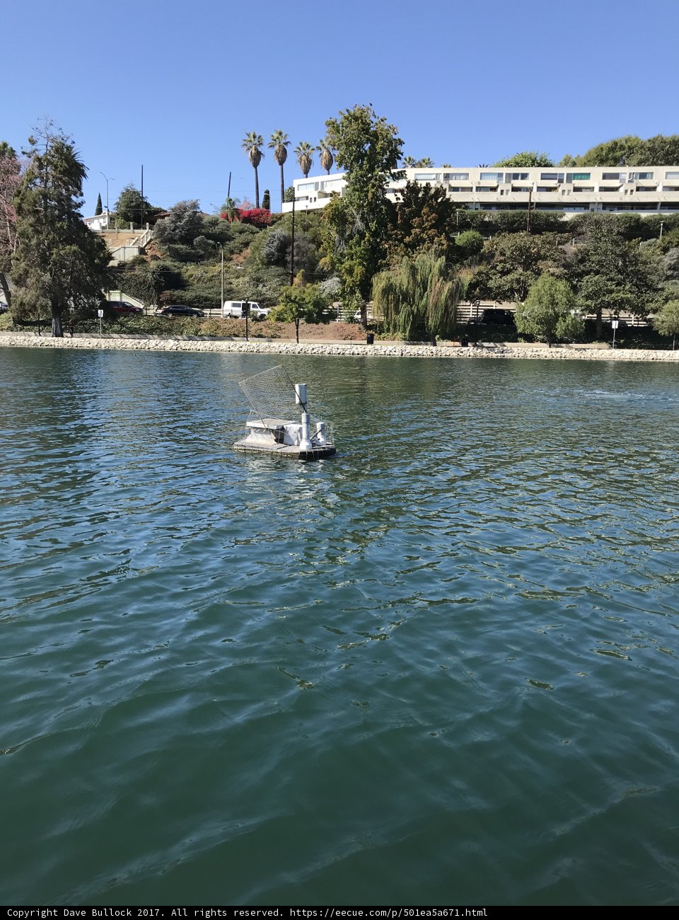 Tranquil Waterfront View