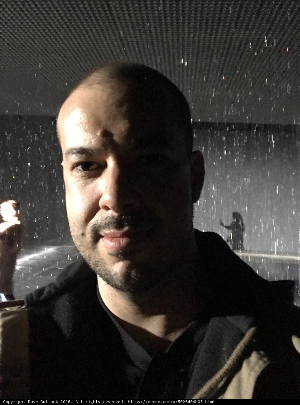 Brave in the Rain