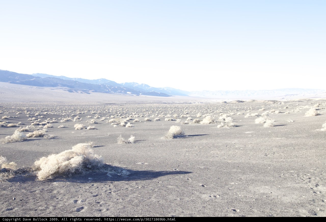 Serene Desert Landscape