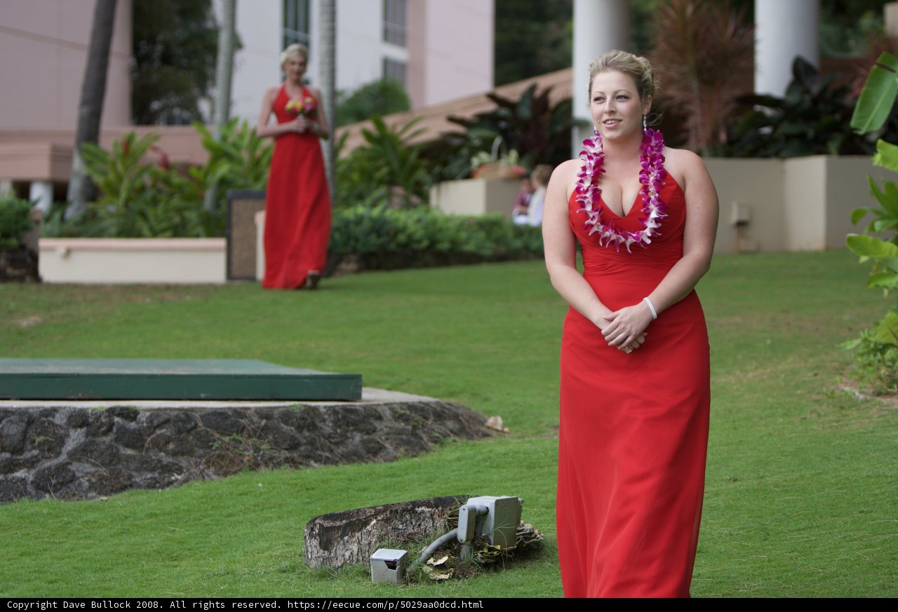 Red Dress on Green Lawn
