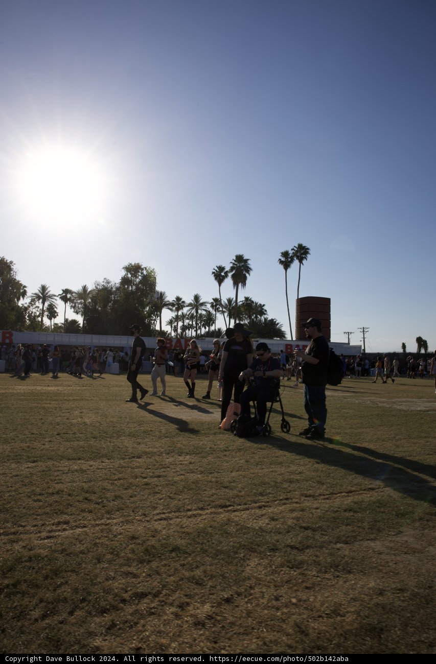 Sunlit Stroll at Coachella 2024
