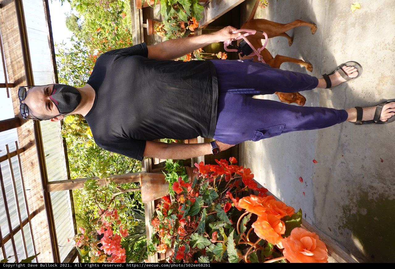 Man with Dog in Greenhouse Garden