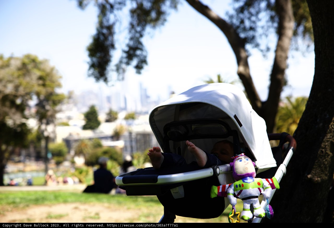 A Sunny Day at the Park, 2023