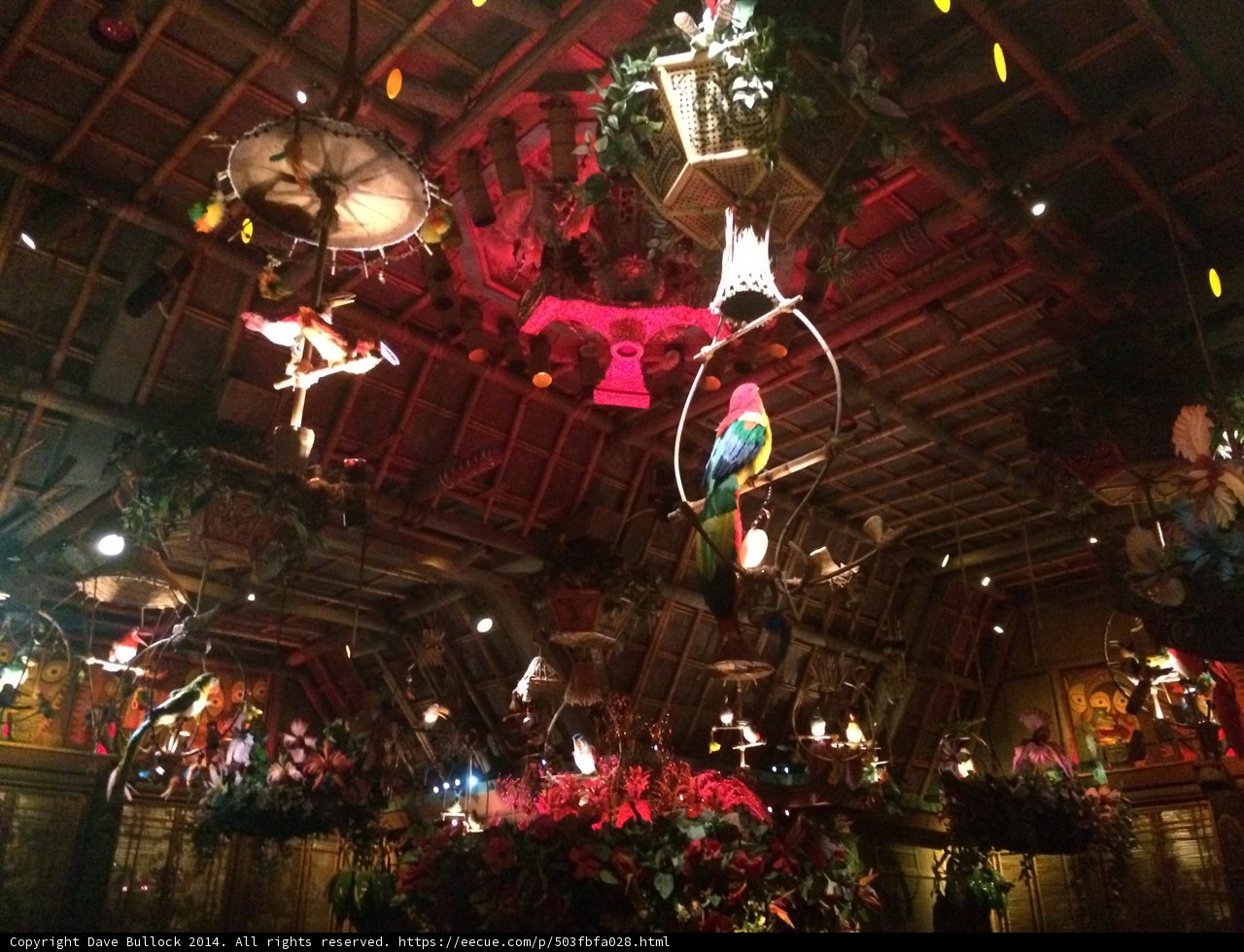 A Burst of Colors in Disneyland