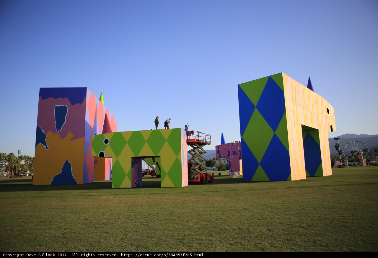 Field of Color