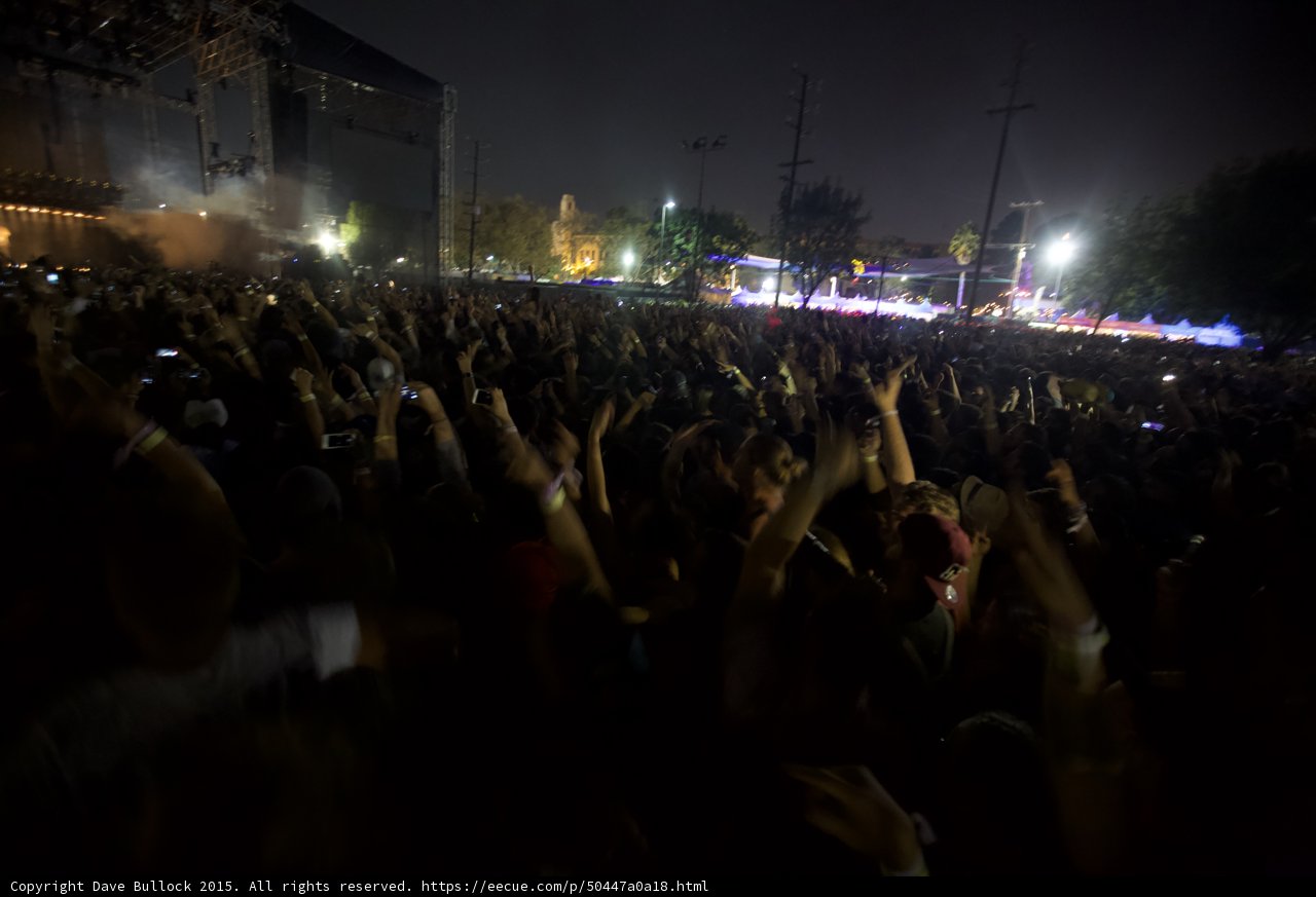 Crowd Arms Raised