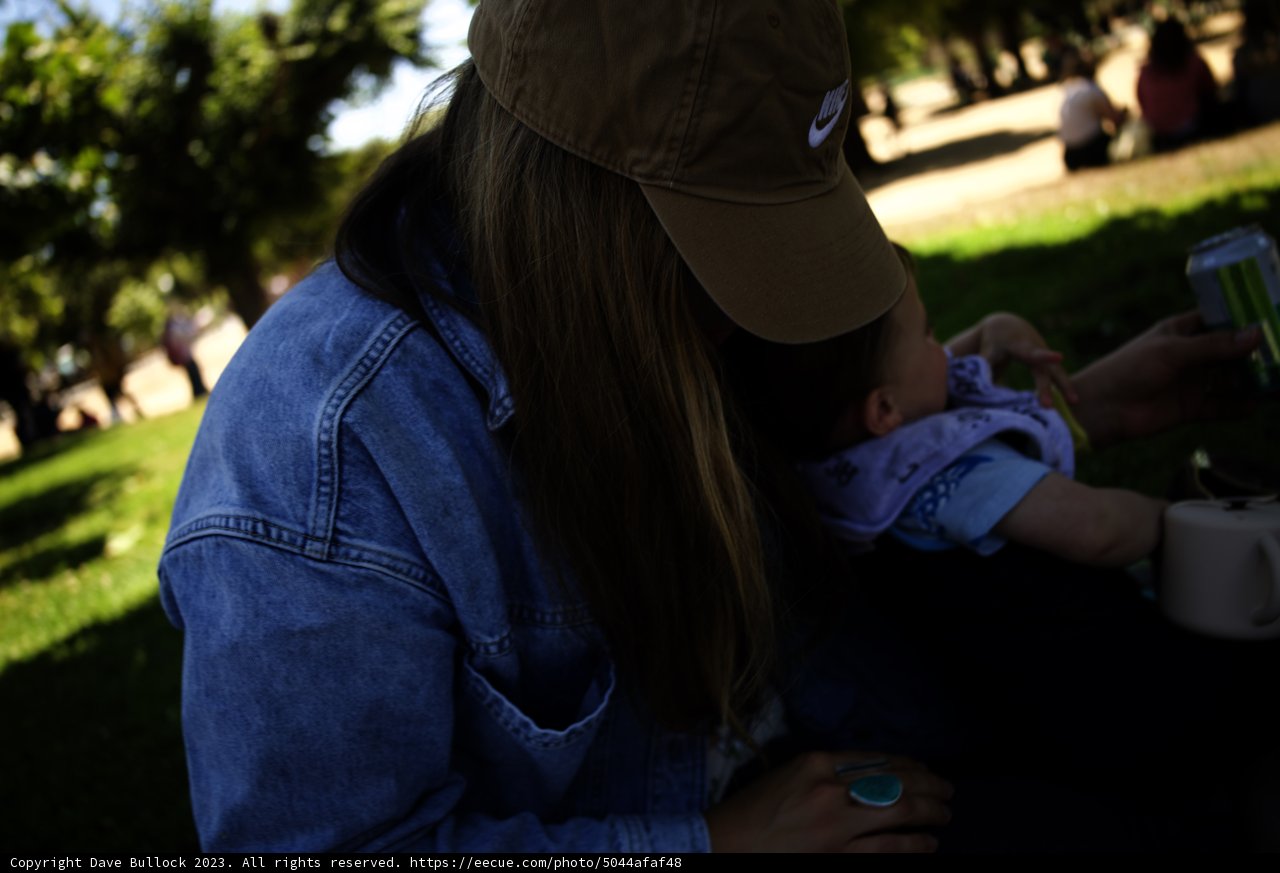Picnic Moment at California Academy of Sciences, 2023