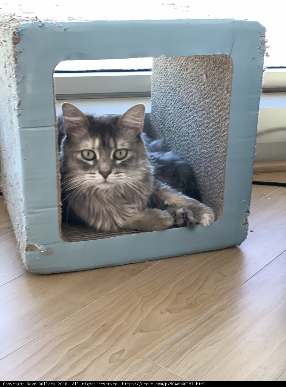 Boxed In