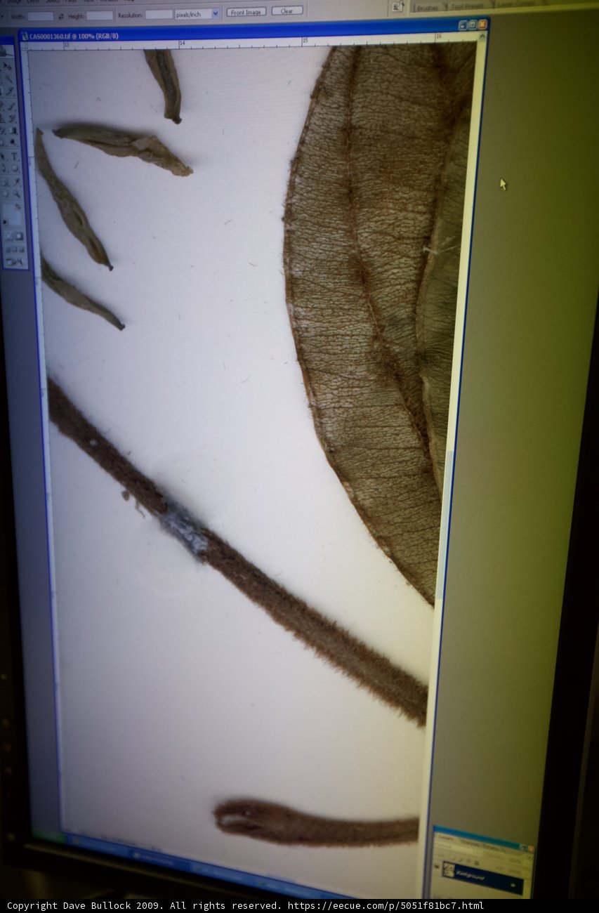 Digital Plant Surgery