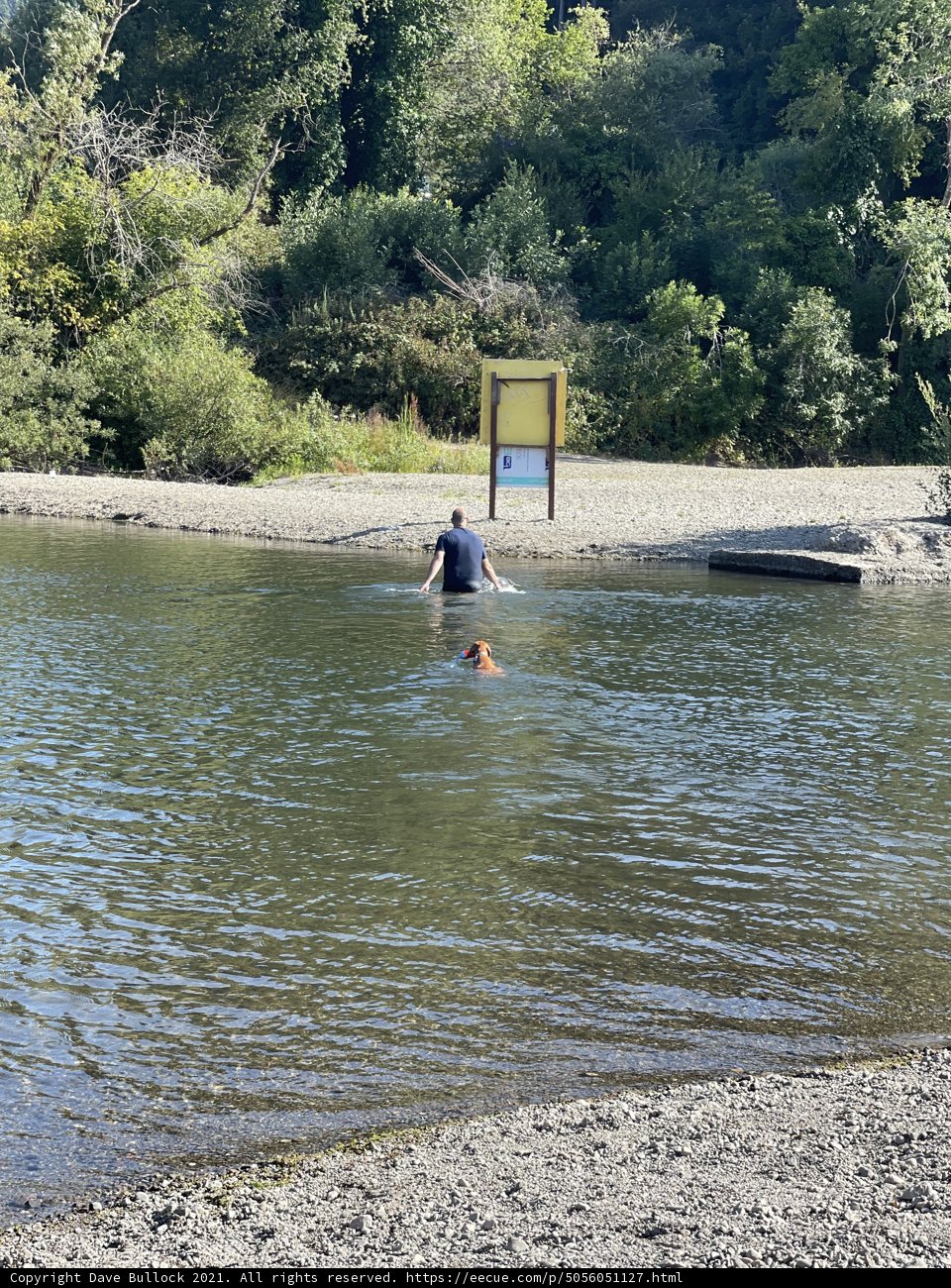 Summer Fun at Monte Rio Beach