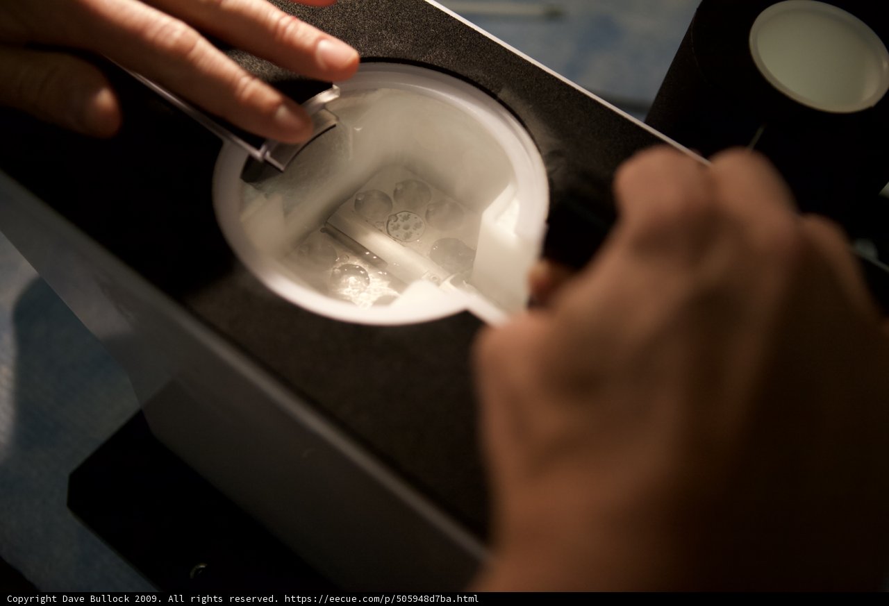 Crafting the Perfect Drink