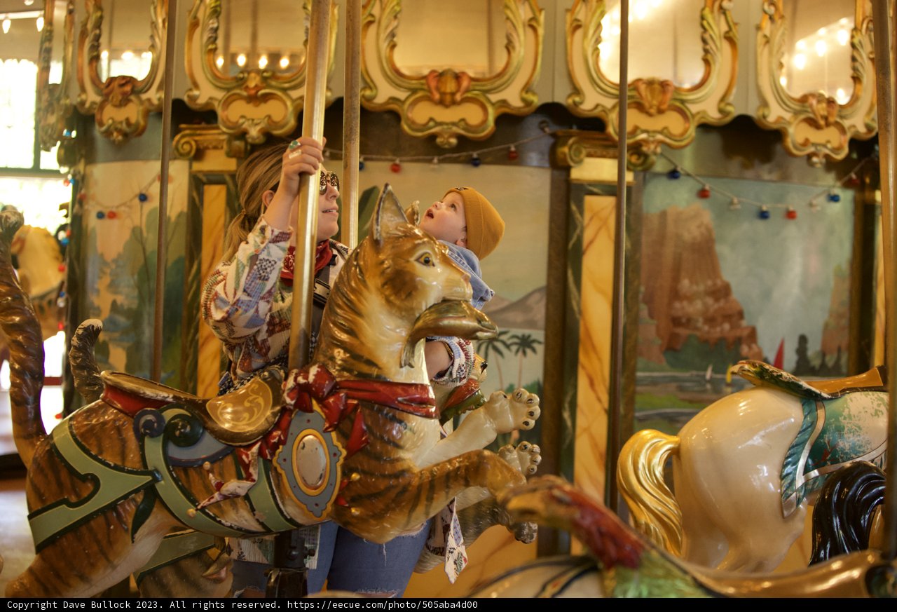 A Whimsical Carousel Adventure