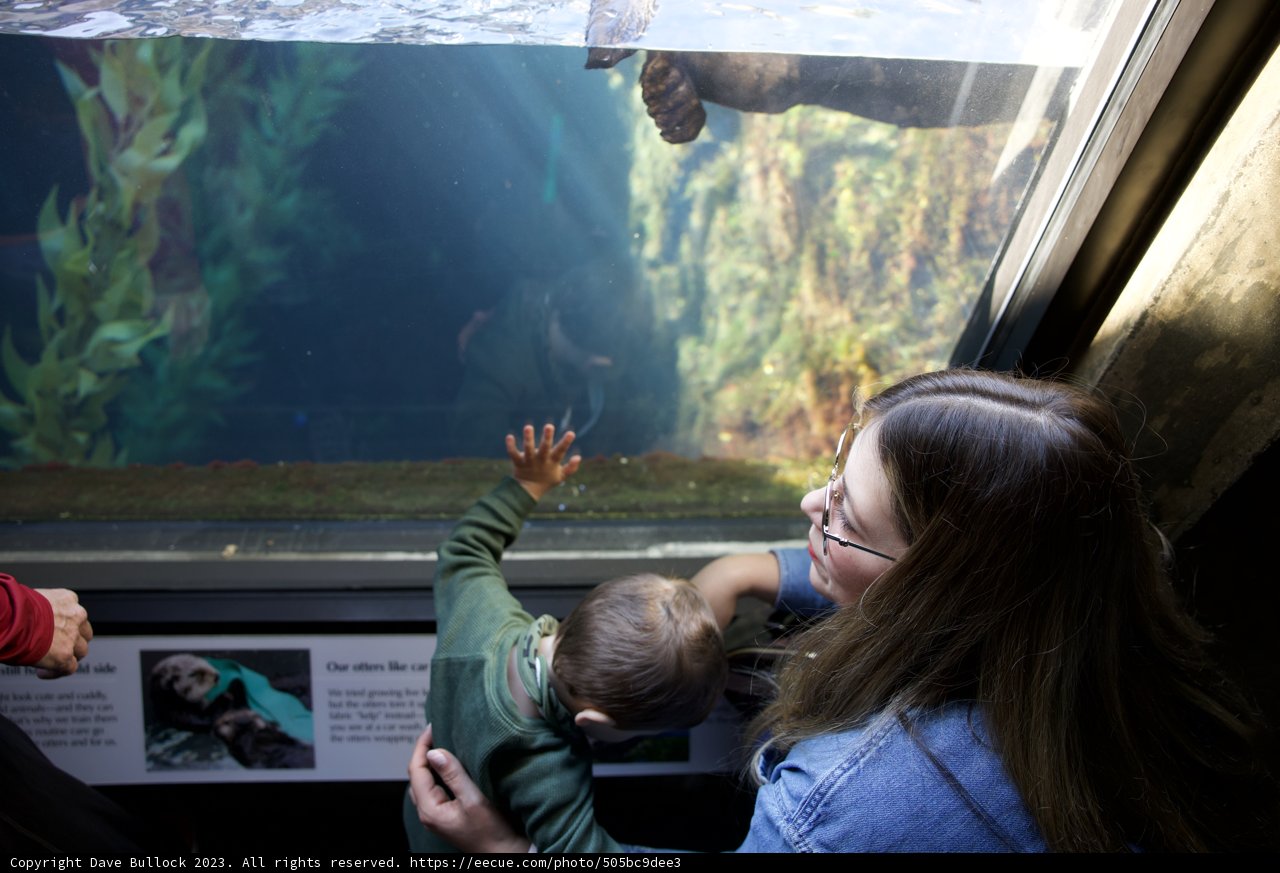 A World Underwater: Discovery at Monterey Bay Aquarium