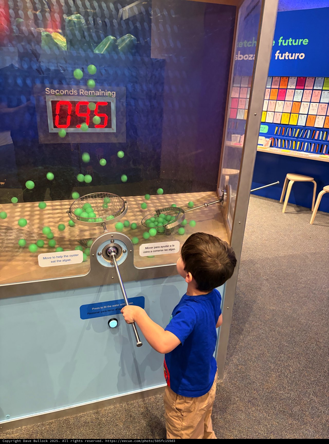 Child Interacting with Museum Science Exhibit Timer Challenge