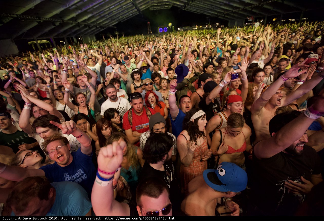 The Electric Crowd at Coachella
